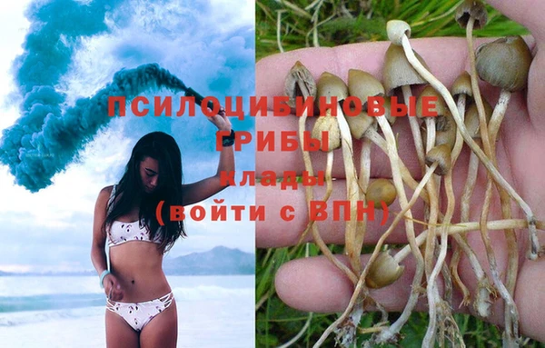 гидропоника Кукмор