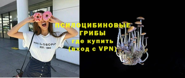 spice Ладушкин