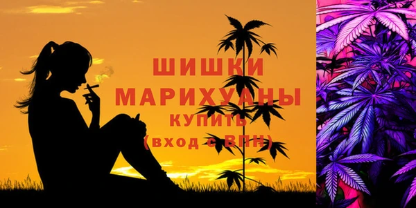 ПСИЛОЦИБИНОВЫЕ ГРИБЫ Кулебаки