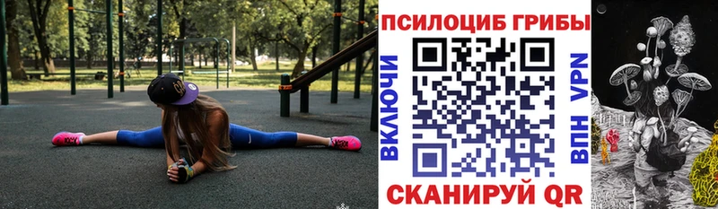 ОМГ ОМГ как войти  Туринск  Галлюциногенные грибы мицелий 